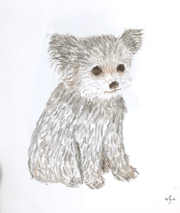 IMG_2403s.png