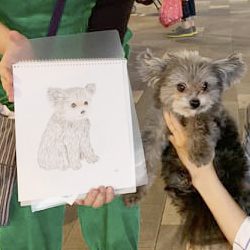 dog.jpg